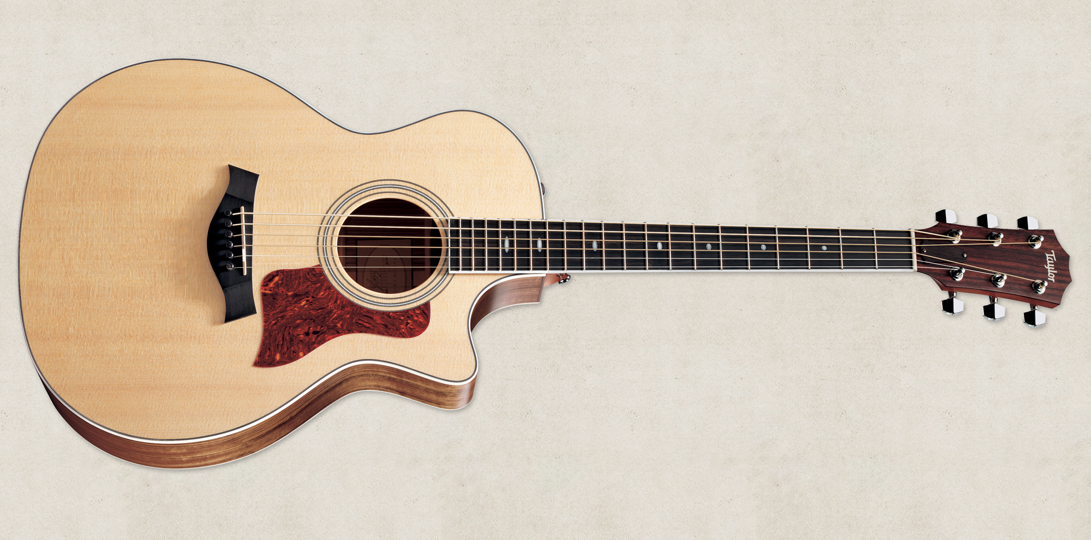 Site under maintenance Taylor Guitars